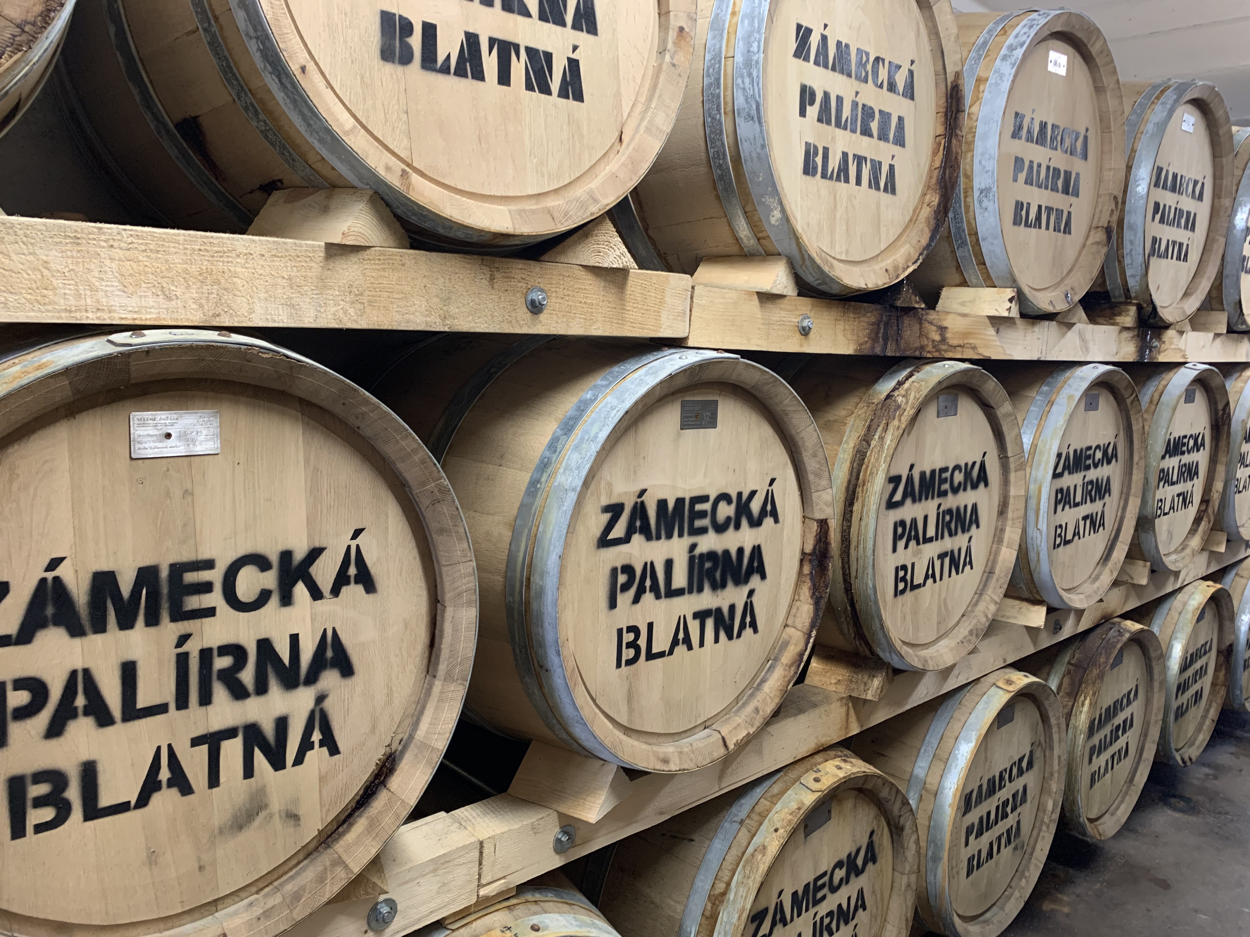 Photo 11.08.2022 12 57 16